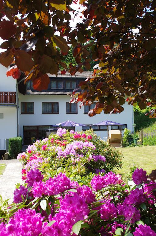 Hotel Herrenrest Georgsmarienhütte Buitenkant foto